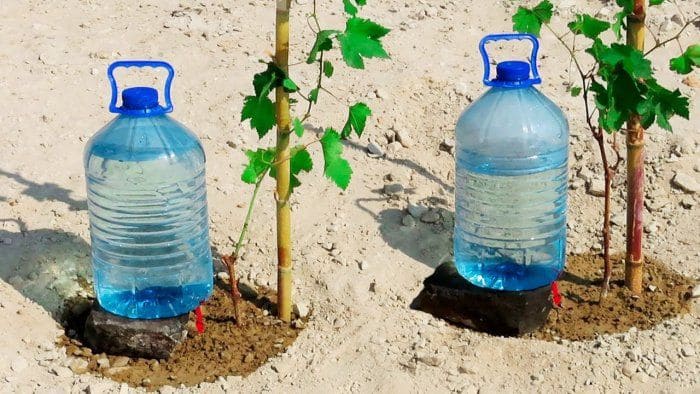 Système d'irrigation goutte à goutte