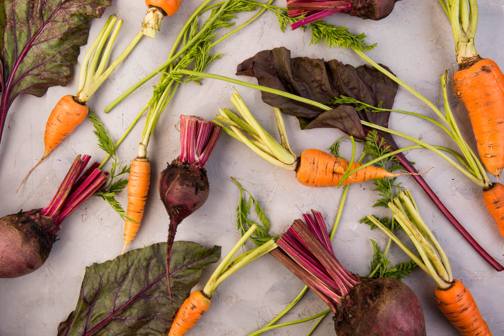 Légumes faciles à cultiver