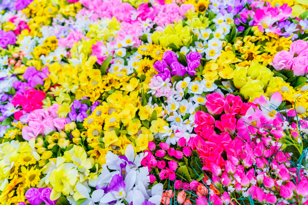 Fleurs vivaces